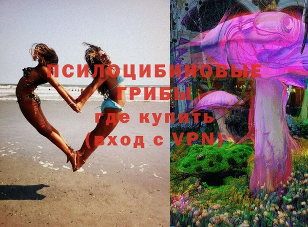 apvp Алексеевка
